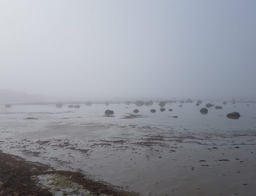 Læsø Marathon i lyddæmpet natur indspundet af havgus