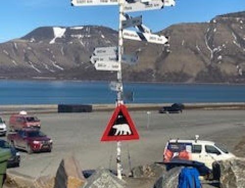Spitsbergen Marathon, Svalbard 2022
